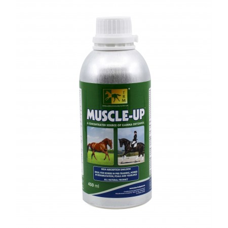 MUSCLE UP 450ML - Equinvest